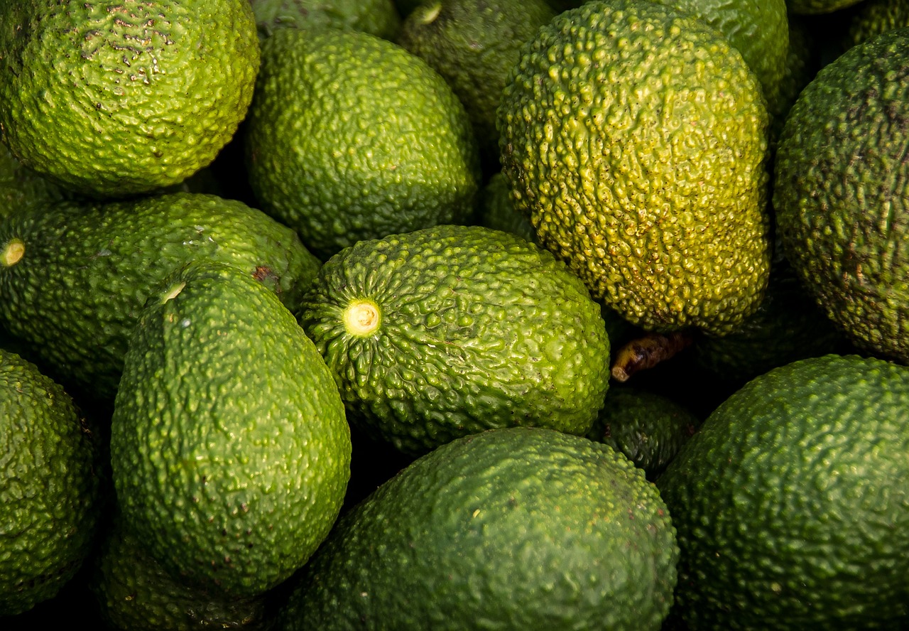 entdecken sie die welt der superfoods: erfahren sie alles über nährstoffreiche lebensmittel, ihre gesundheitlichen vorteile und wie sie superfoods einfach in ihre ernährung integrieren können.
