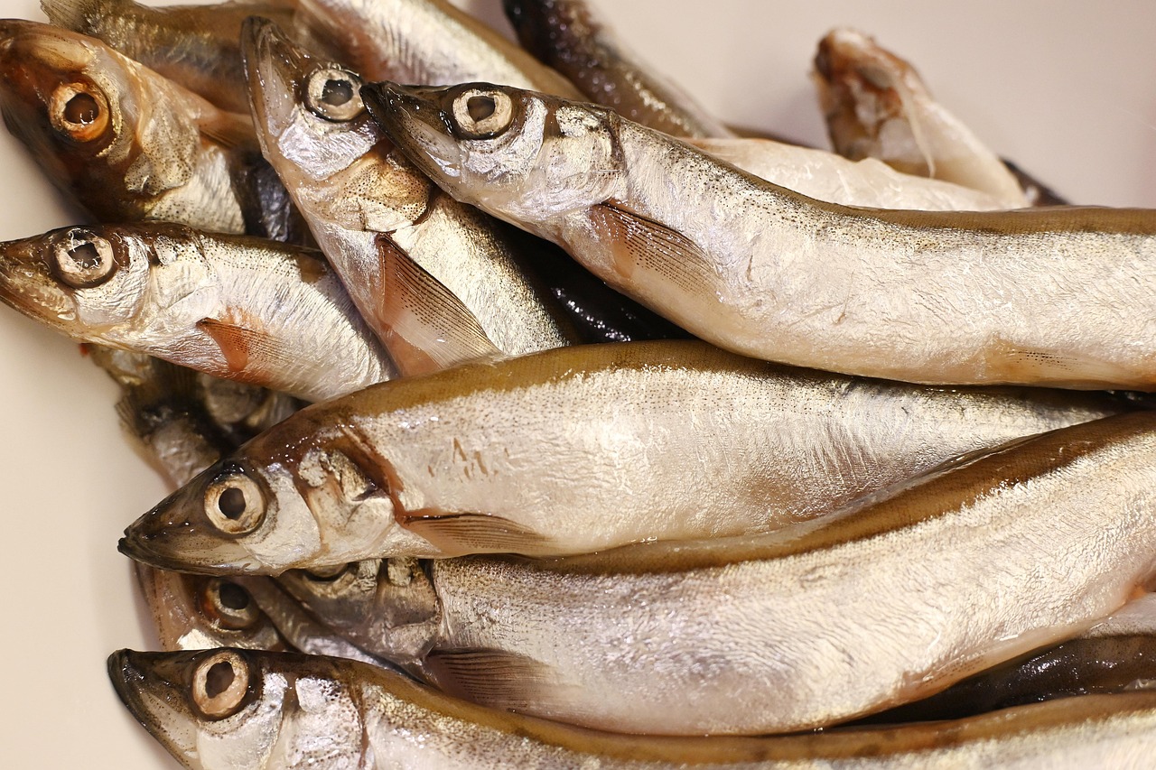entdecken sie die kunst des nachhaltigen kochens! erfahren sie, wie sie leckere mahlzeiten zubereiten können, die sowohl umweltfreundlich als auch gesund sind. lassen sie sich von unseren tipps und rezepten inspirieren, um ihren ökologischen fußabdruck zu reduzieren und gleichzeitig den geschmack nicht zu vernachlässigen.